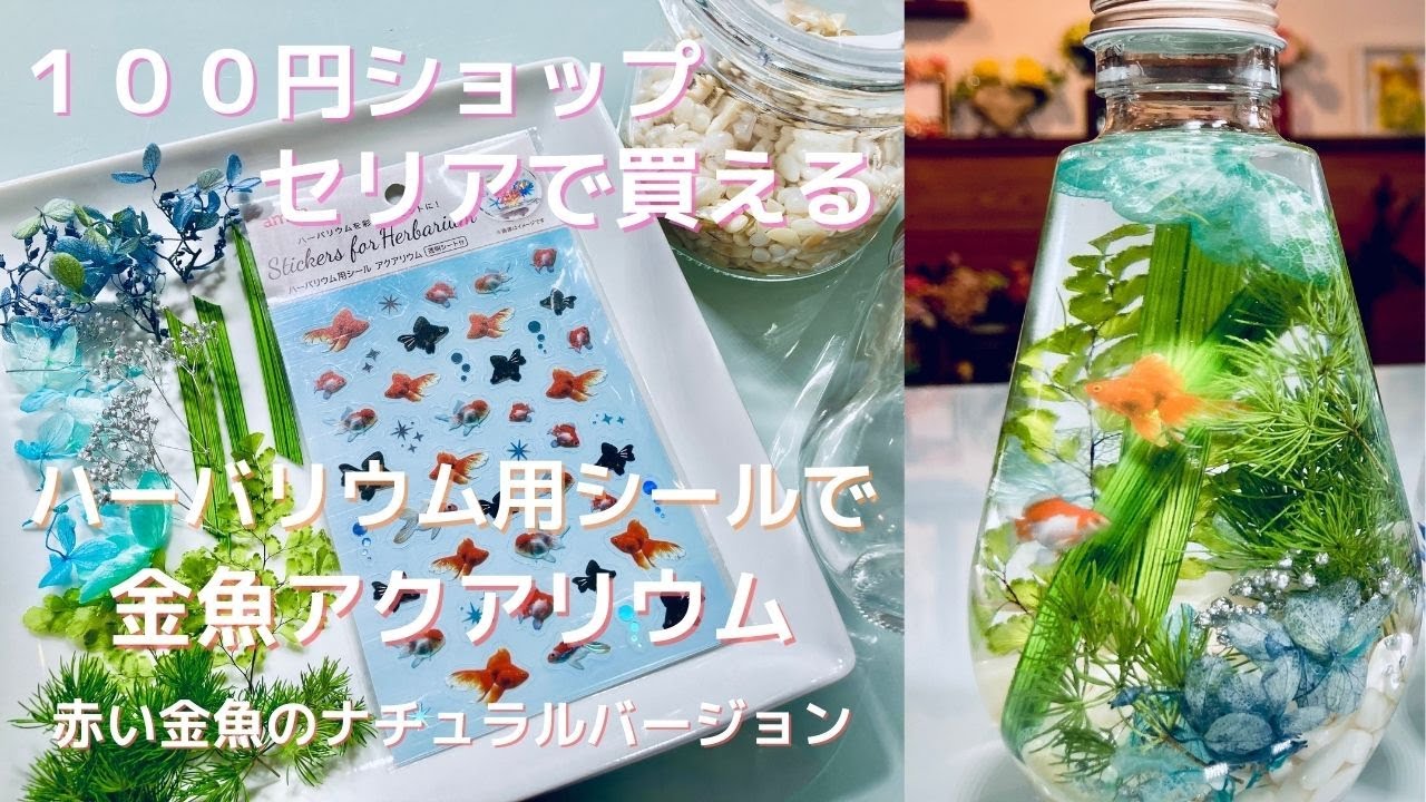 【金魚のハーバリウム】赤い金魚の爽やかなハーバリウムです。