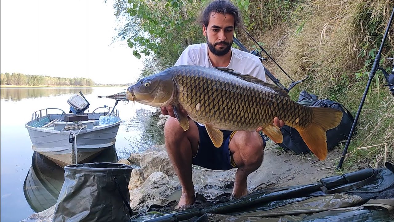 Epic Carp Fishing Adventure on the Legendary River Po in Italy