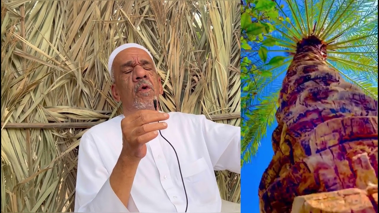 سواليف مع إلاعلامي حزام الاحمد والحاج يوسف مبارك الياسين عن بلدة المنيزلة