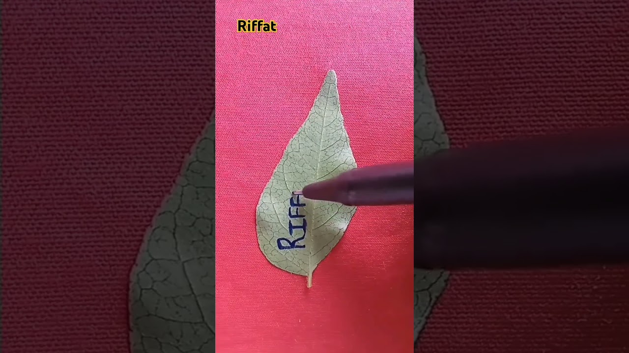 #riffat#shorts#ytshorts#viral#subscribe
