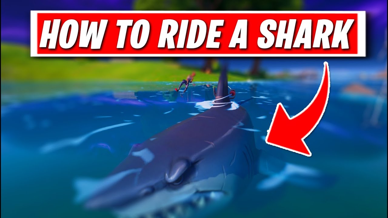 How to RIDE A SHARK in Fortnite Season 3! (Tutorial & Guide on How to drive a SHARK)