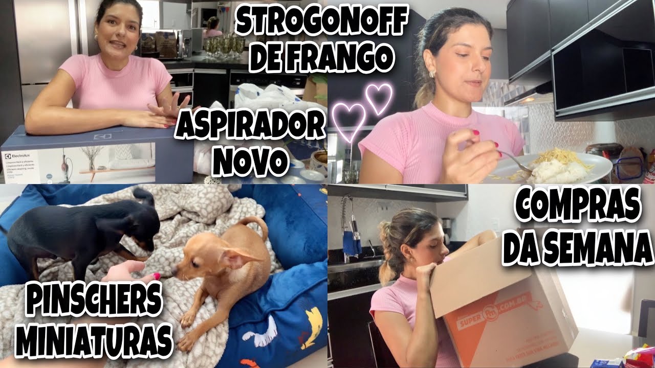 COMPRAS DA SEMANA NO SAMS CLUB E PAGUE MENOS, PINSCHERS MINIATURAS E STROGONOFF DE FRANGO