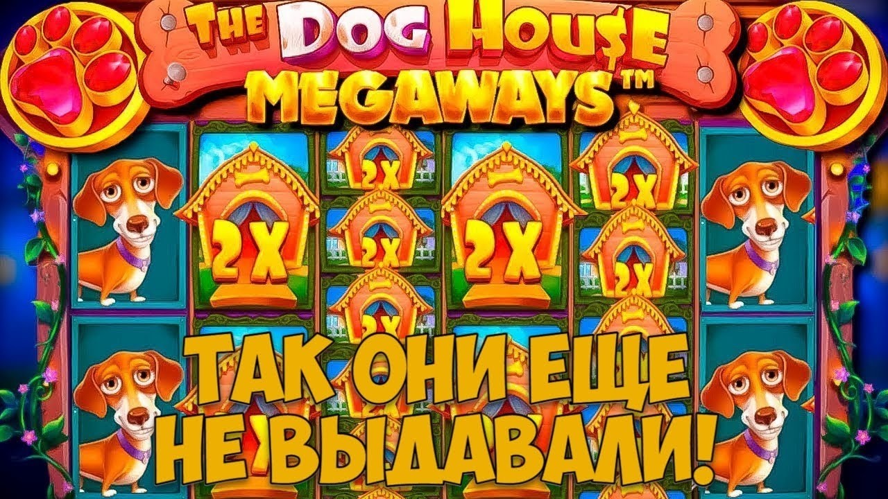 Собачки не перестают удивлять. Идеальная сессия!