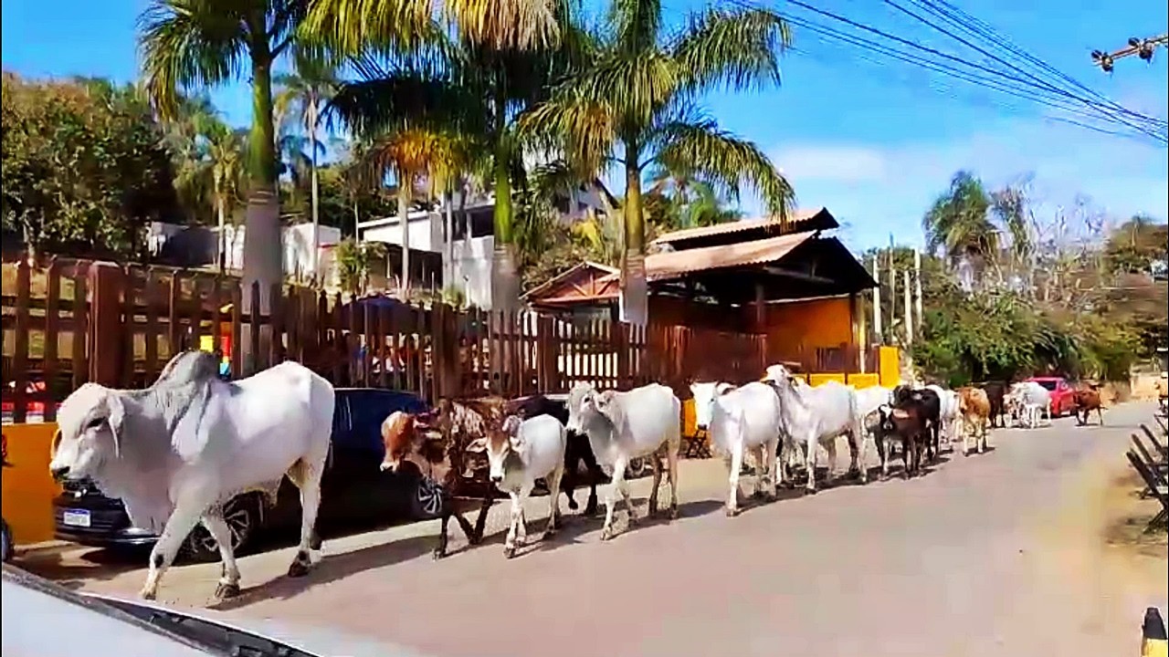 Rancho Vovó Maria (Mairiporã)