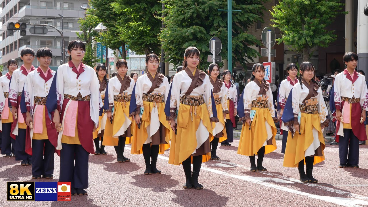 早稲田大学 東京花火【彩の輪】 湘南よさこい祭り2025