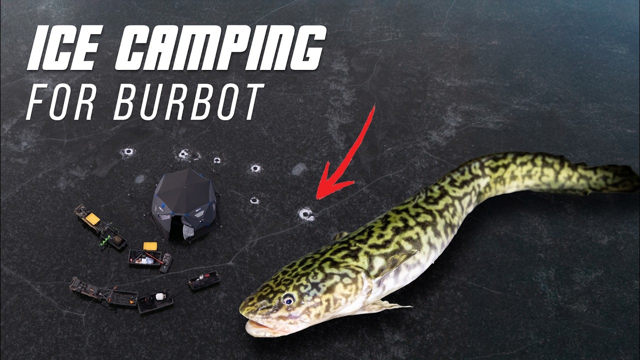 Night Ice Fishing for Big Burbot | Ice Camping Trip
