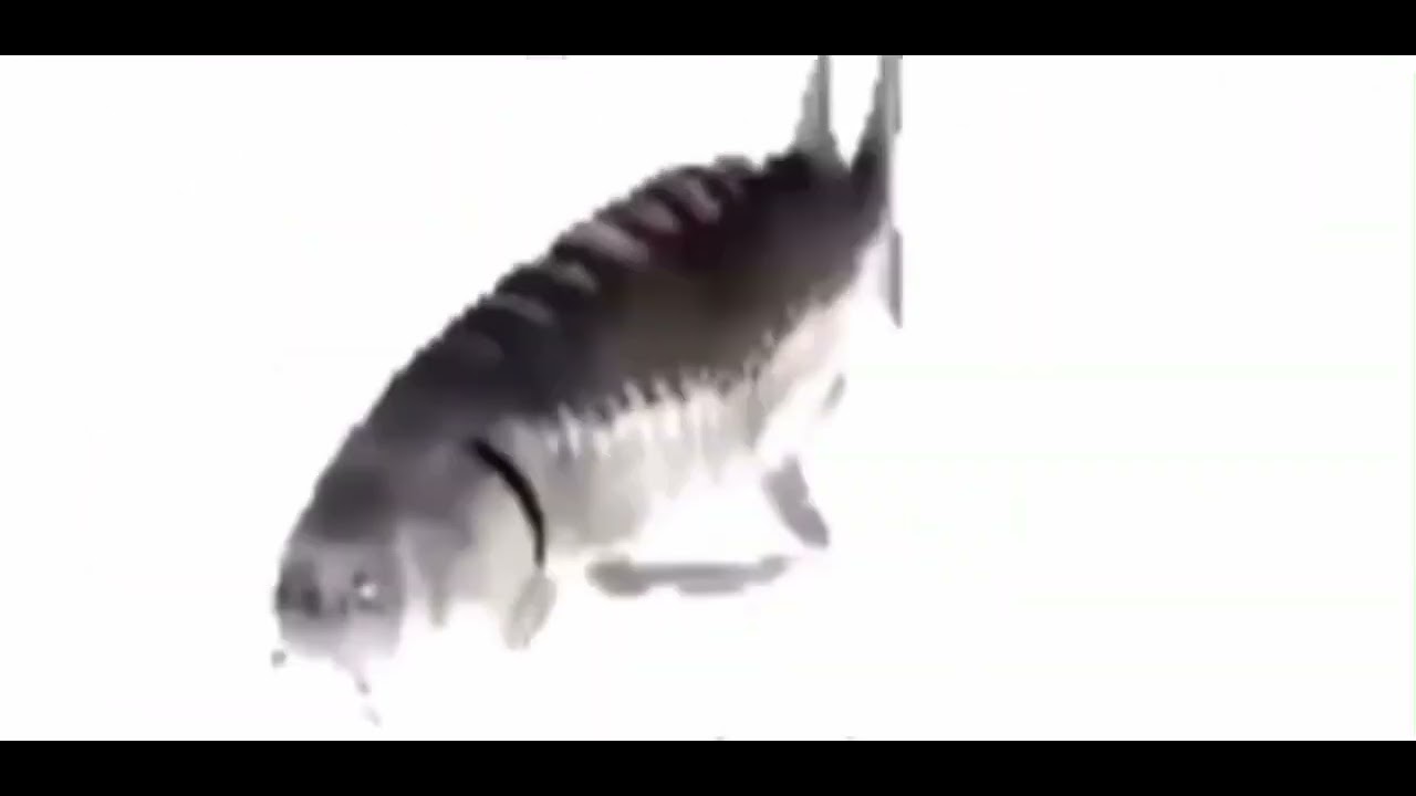 Spining Fish (Retro)