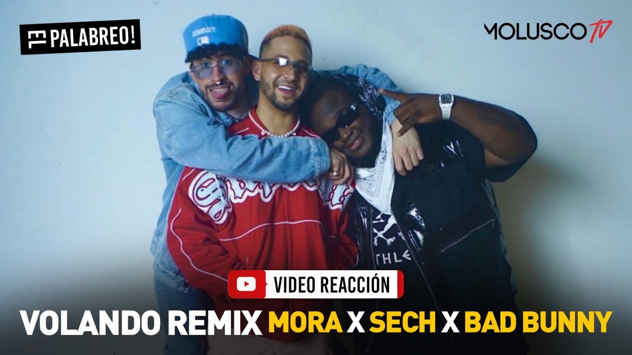 Volando remix MORA + SECH+ BAD BUNNY #VideoReaccion #ElPalabreo