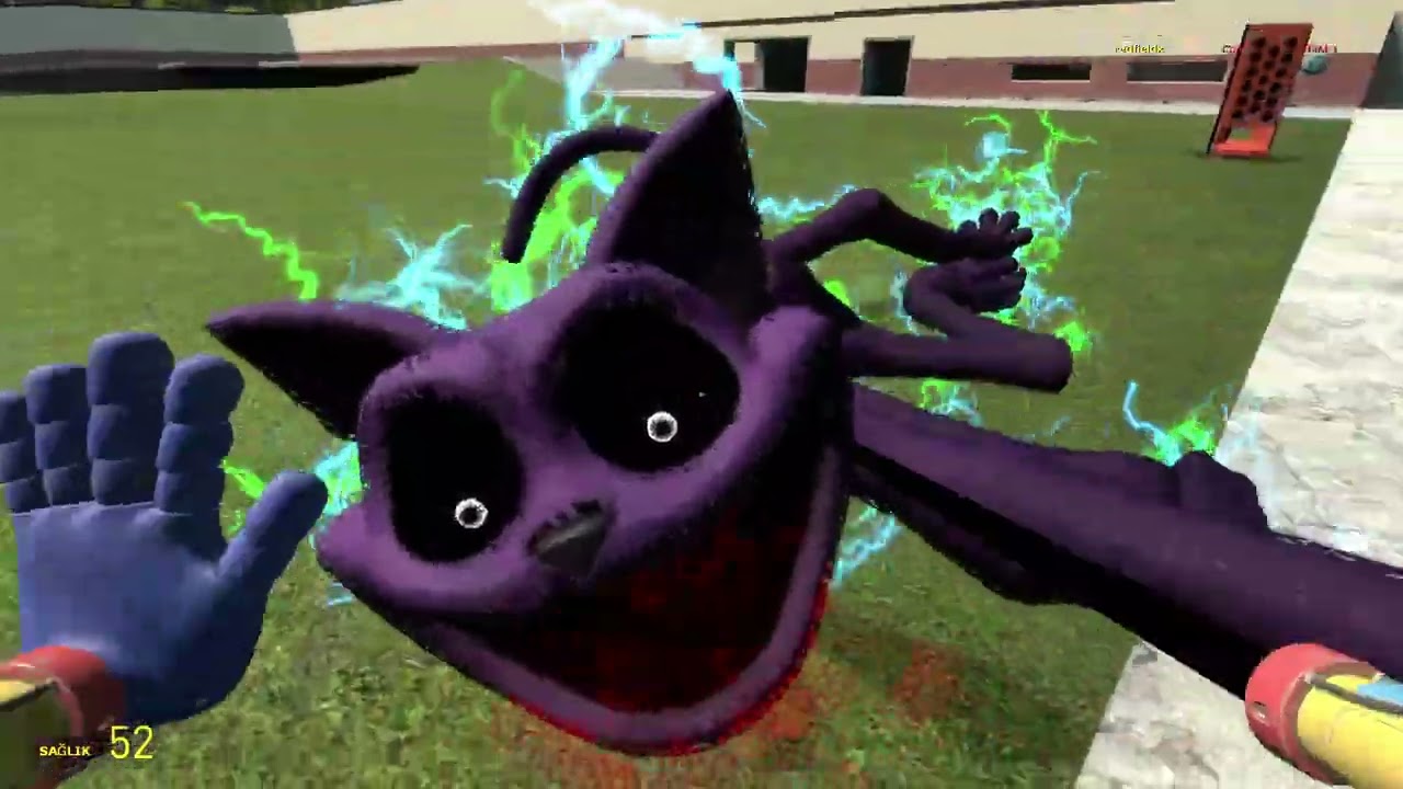 Garry's Mod fnaf poppy killing catnap