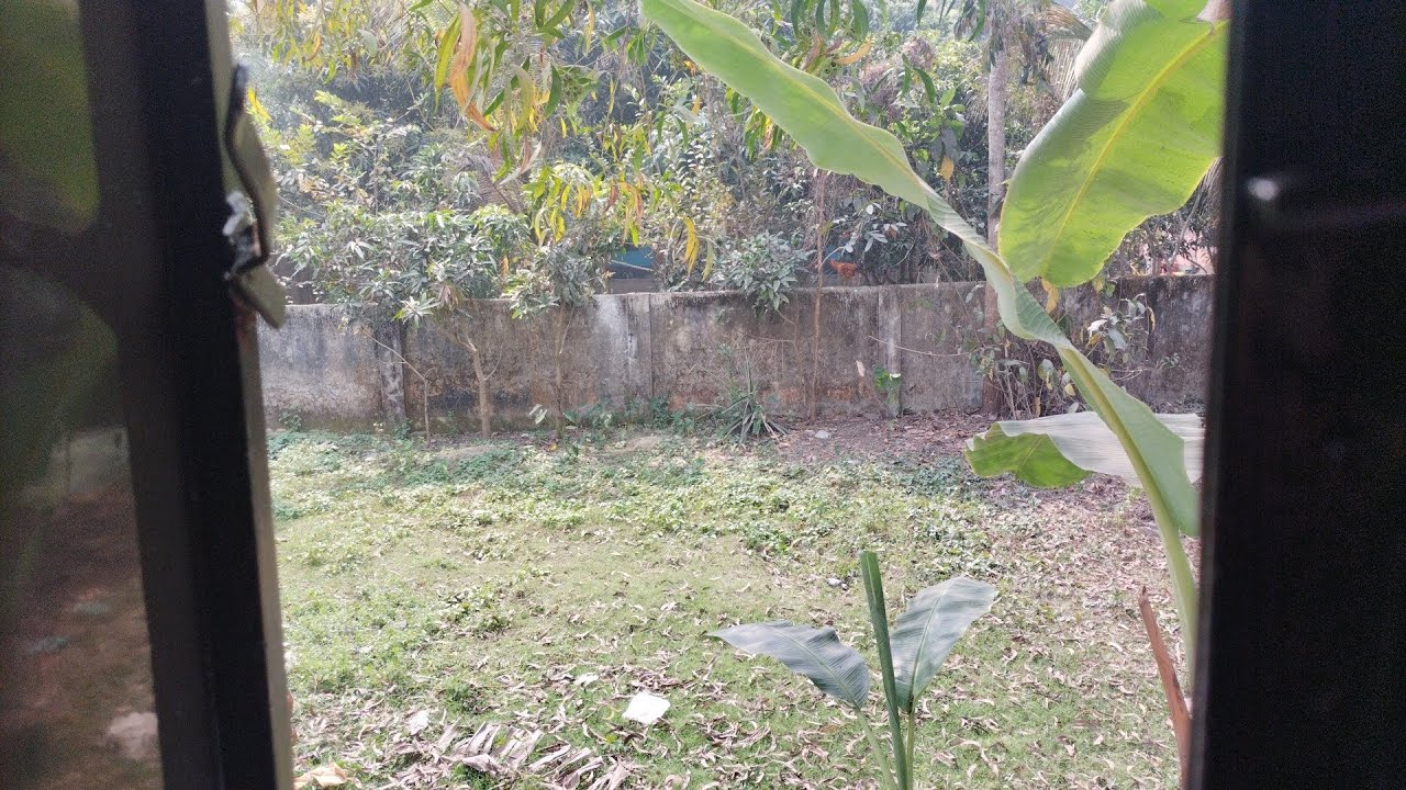 আজকের ভিডিওতে জাহাজগুলো ছবি দেখিয়ে দিলাম