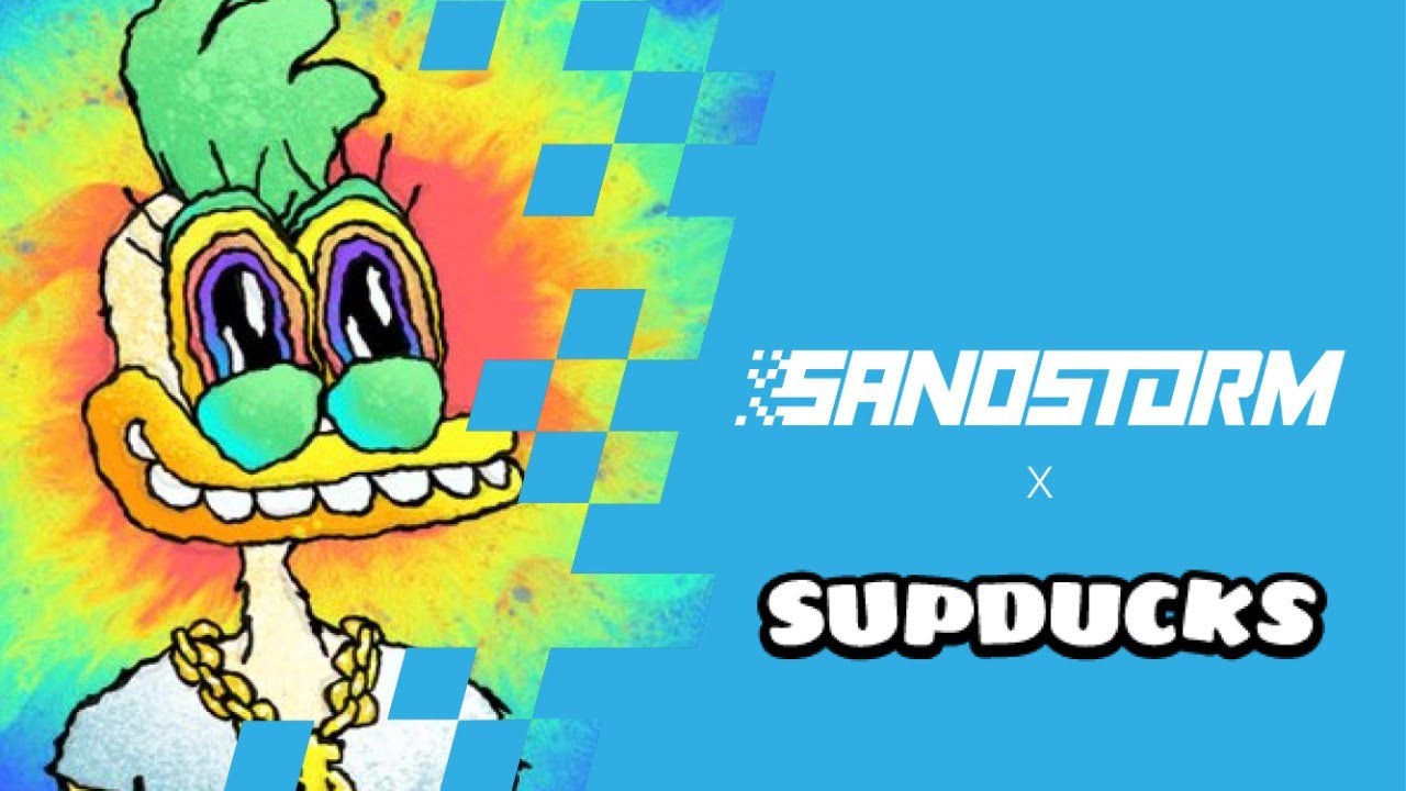 SandStorm Meetup INSIDE Sandbox w/ Sup Ducks
