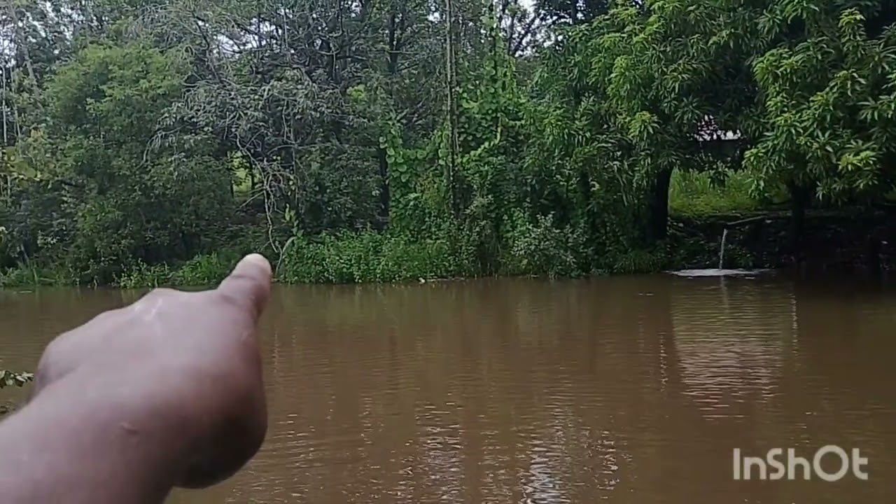 A Represa está transbordando água por cima do aterro os ladrões não está dando conta de tanta chuva.