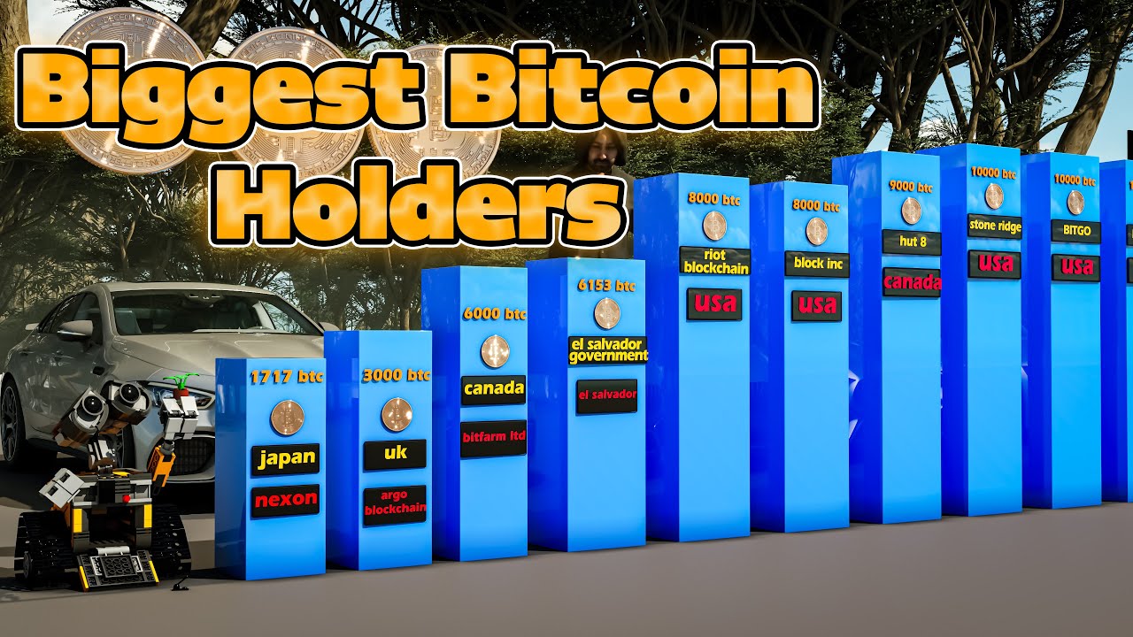 Biggest Bitcoin Holders Revealed! Shocking Facts About Crypto Whales
