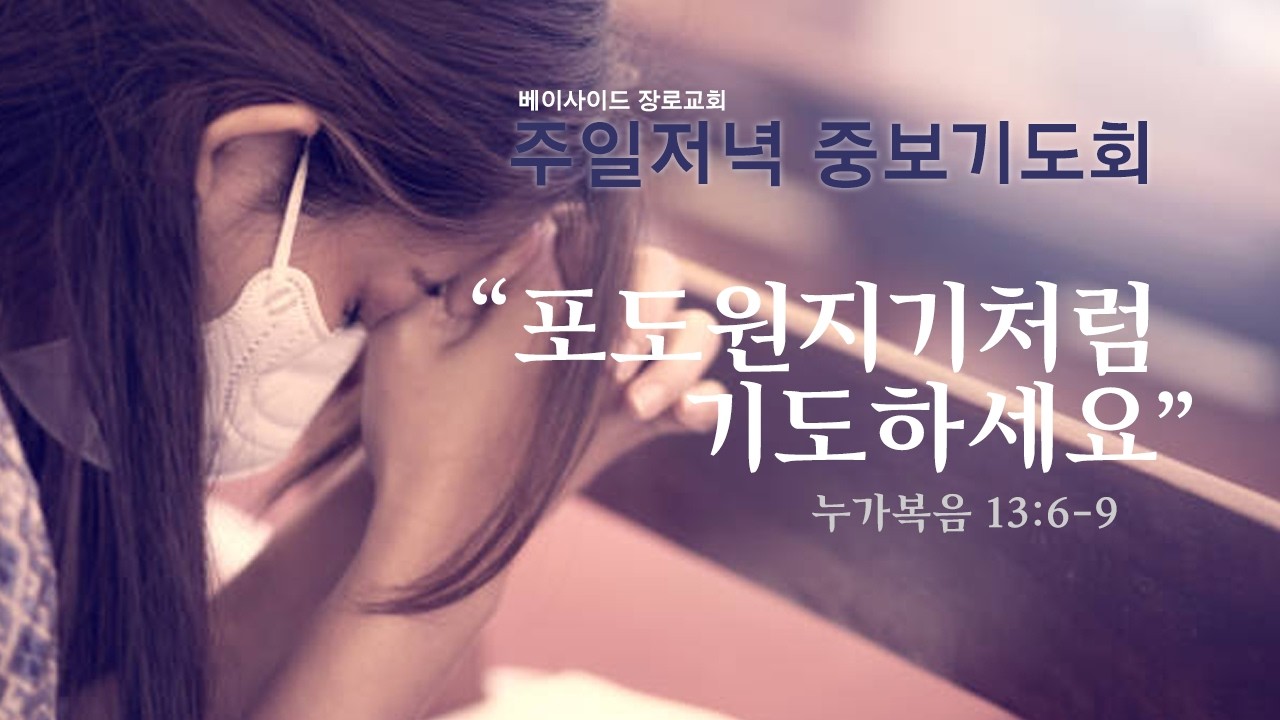 2026년 2월 22일 -  주일저녁예배 (중보기도회) - 