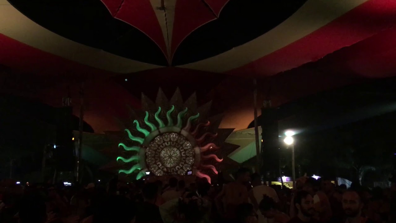 Ace Ventura @ Tribe 2019
