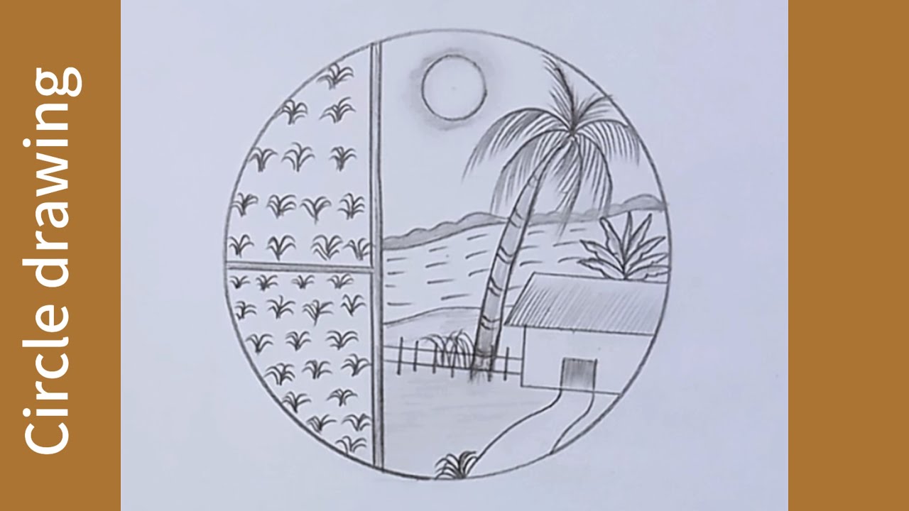 Circle drawing/Paddy field drawing in circle/Art video #nature #Circle #paddy #scenery #TheArtLover