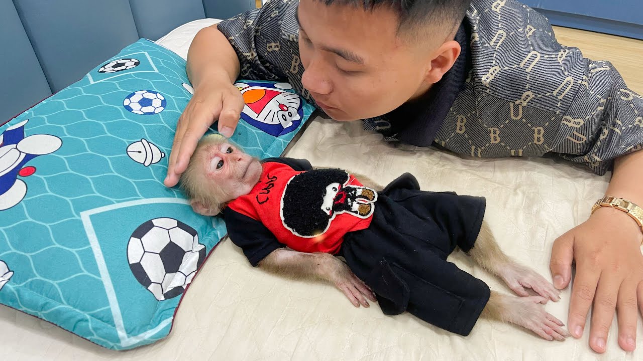 Don't cry😓 Cubis brave still very tired but tried to act like fine so dad don't worry