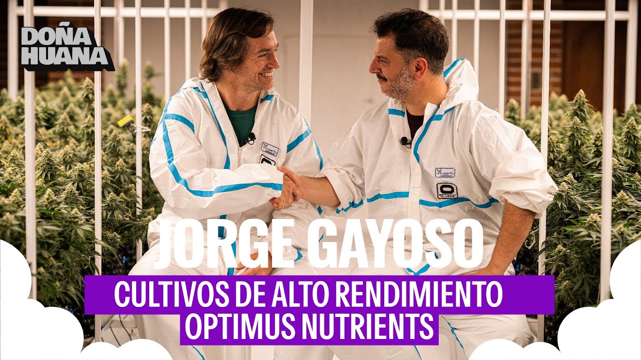 10 KG DE FASO EN 3 MESES --  MODULOS AUTOMATIZADOS PARA CULTIVOS DE ALTO RENDIEMIENTO