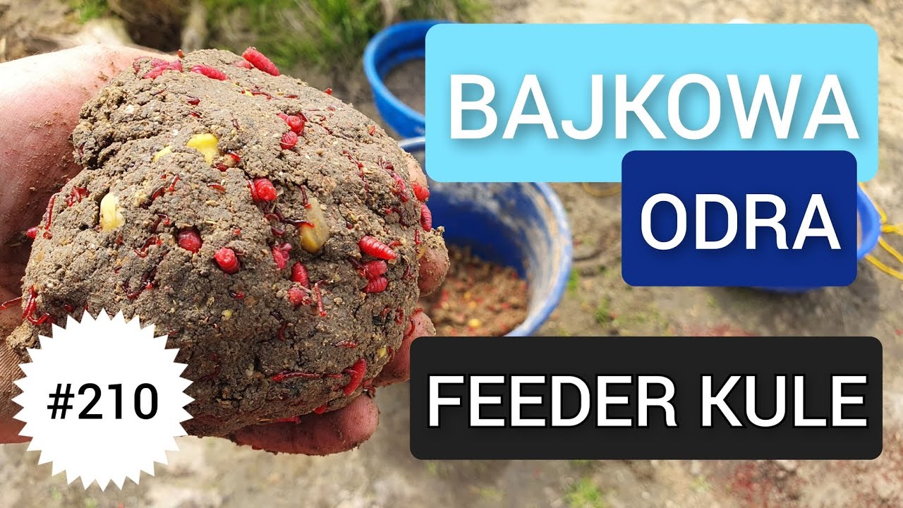 210 BAJKOWA ODRA - FEEDER Z KULAMI 🙂🙂🙂