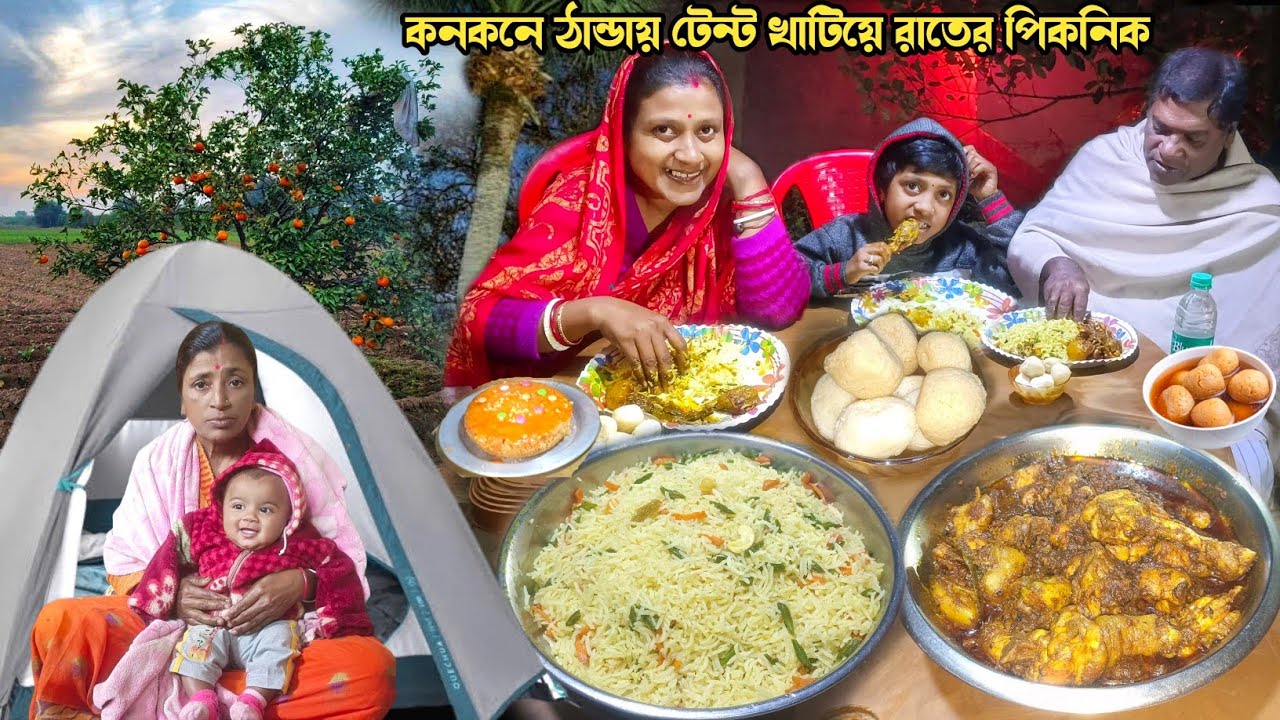আমাদের সবার খুবই আনন্দের পিকনিক স্নেহার সাফল্যর জন্য। Family Picnic Vlog। Fried Rice & Chicken Kosha
