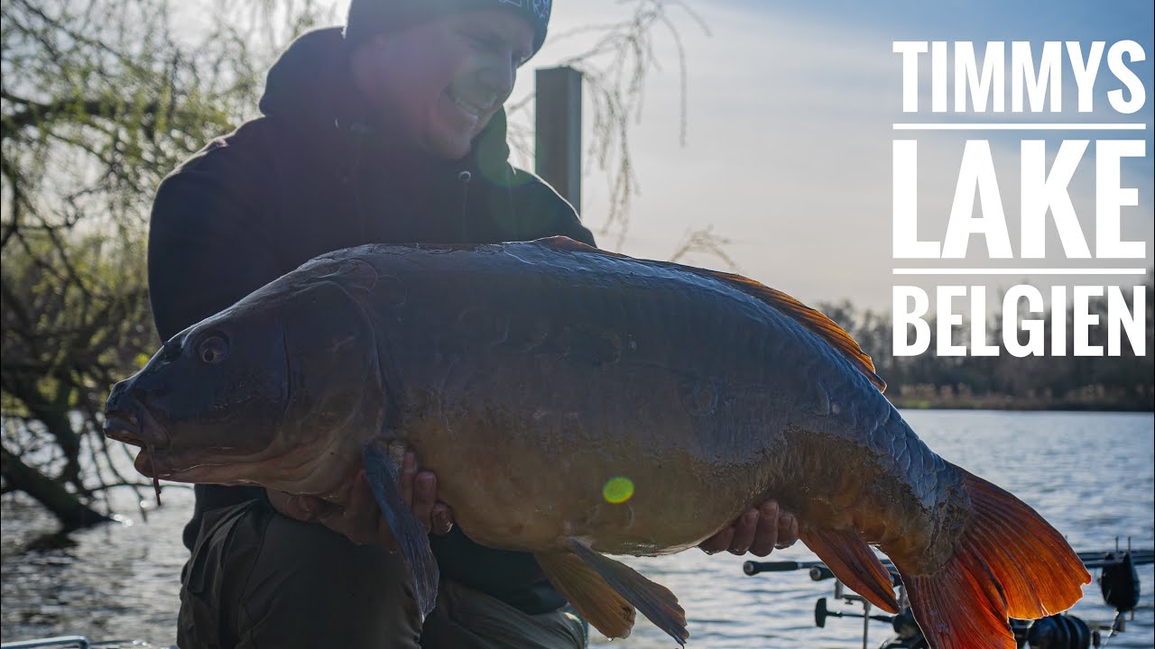 Karpfenangeln in Belgien // Timmys Lake // Karpfen Ultras // Videotagebuch 110