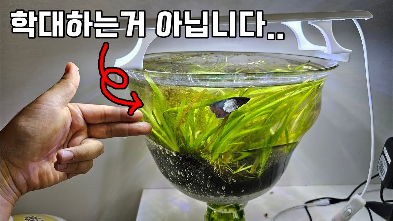 항상 논란이 되던 