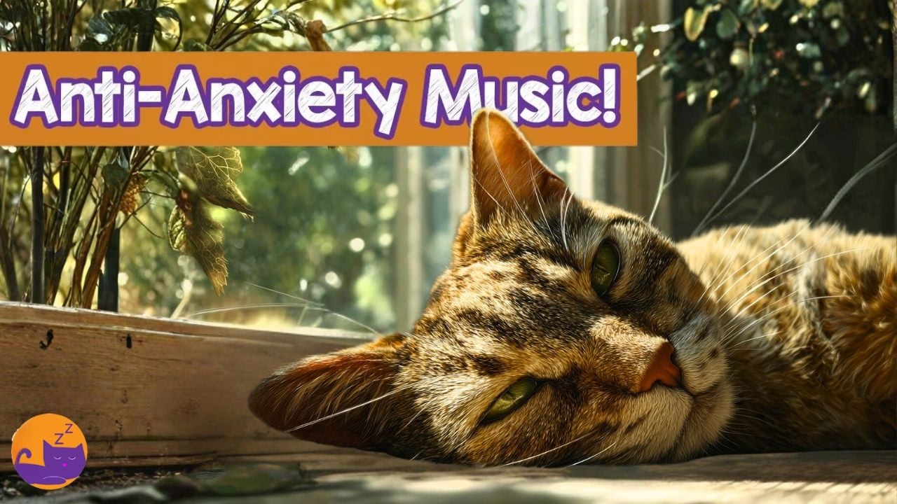 Calming Peaceful Frequencies for Cats ❤️ 528 Hz Purr Frequencies ✨