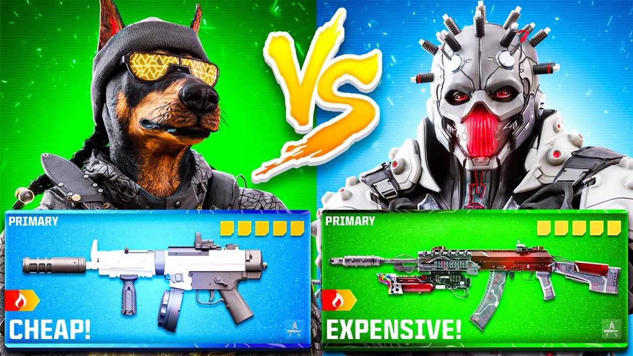 CHEAP vs EXPENSIVE REBIRTH Meta loadouts