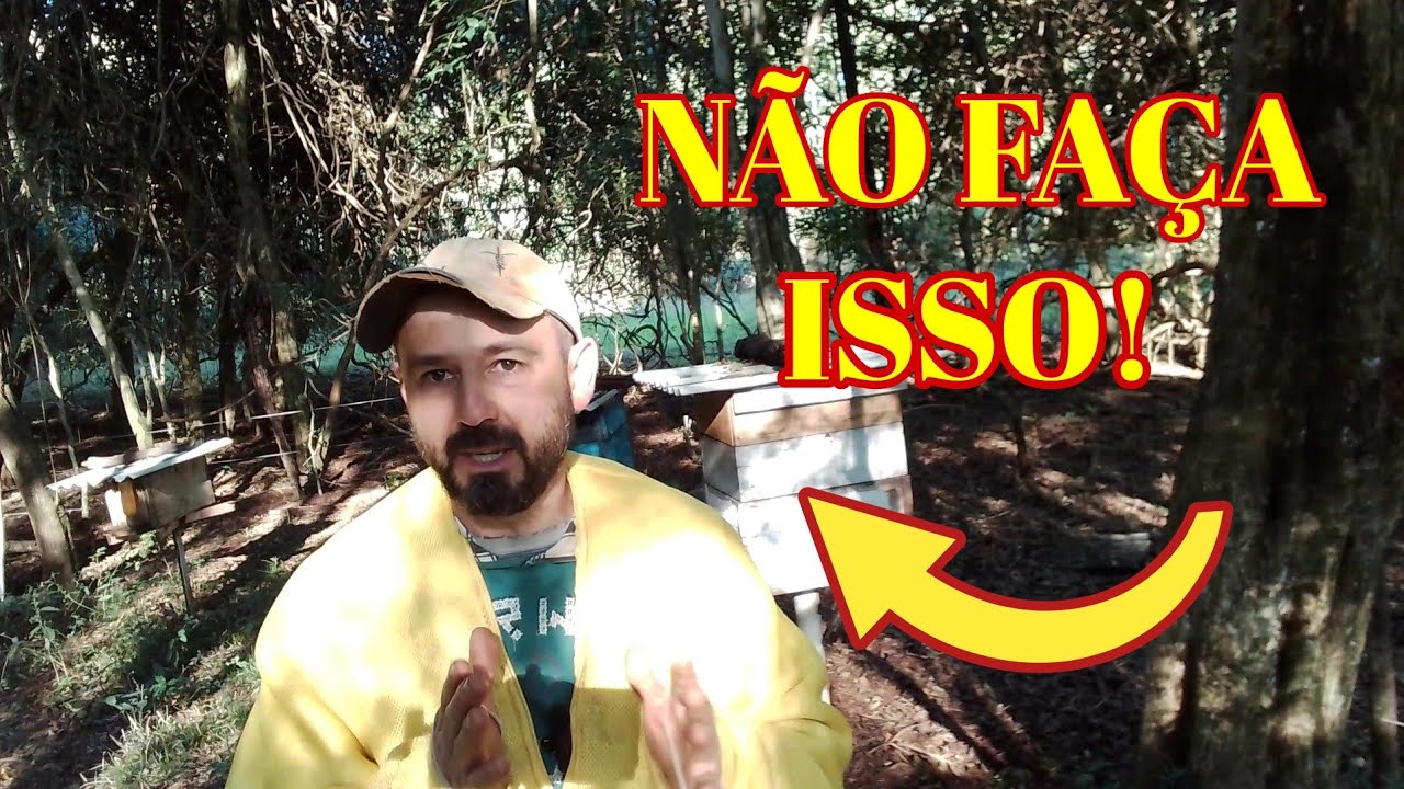 Não mate a rainha velha, use ela, e tenha uma alta produção de mel