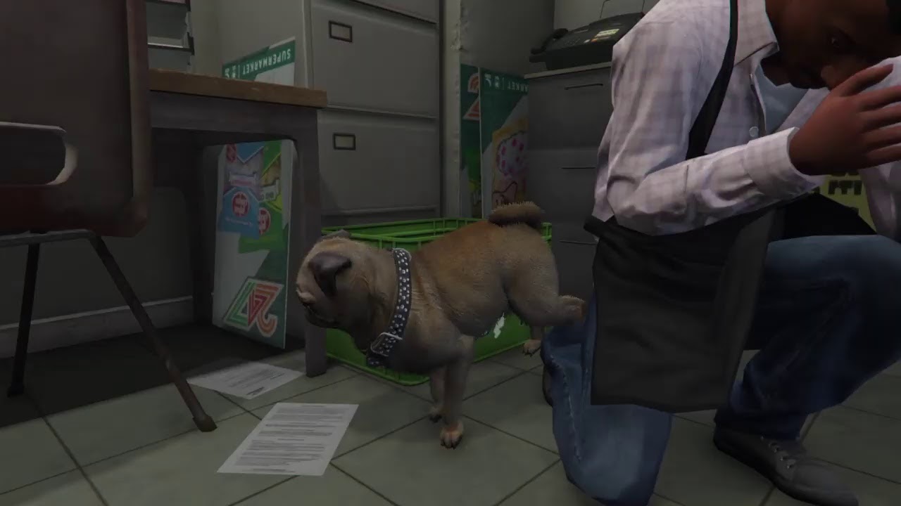 GTA Online: Pug Life 33 and a 1/3