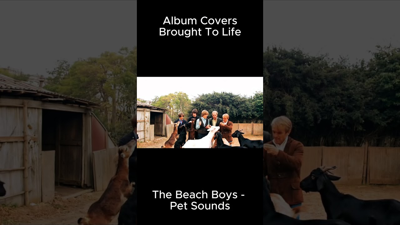 The Beach Boys - Pet Sounds Album Cover Comes to Life! 🎶🐶 #Shorts