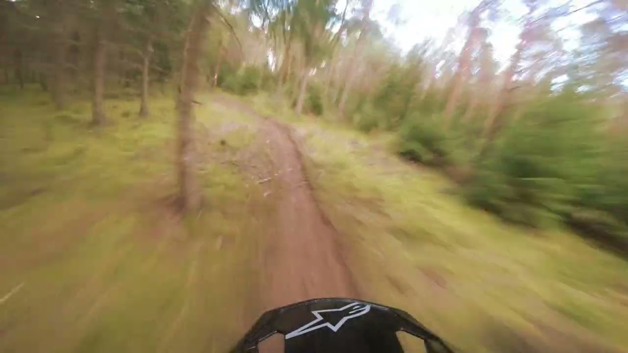 test ride triumph TF250E 2026