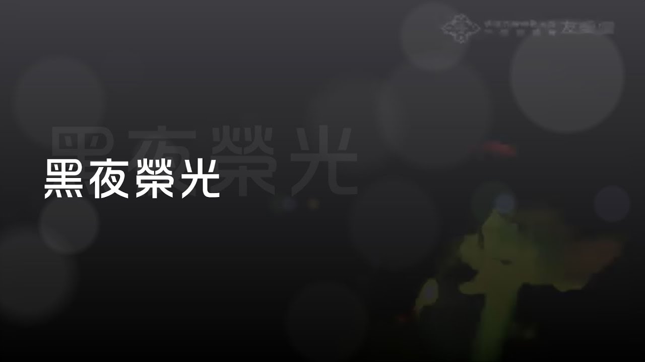 【黑夜榮光】