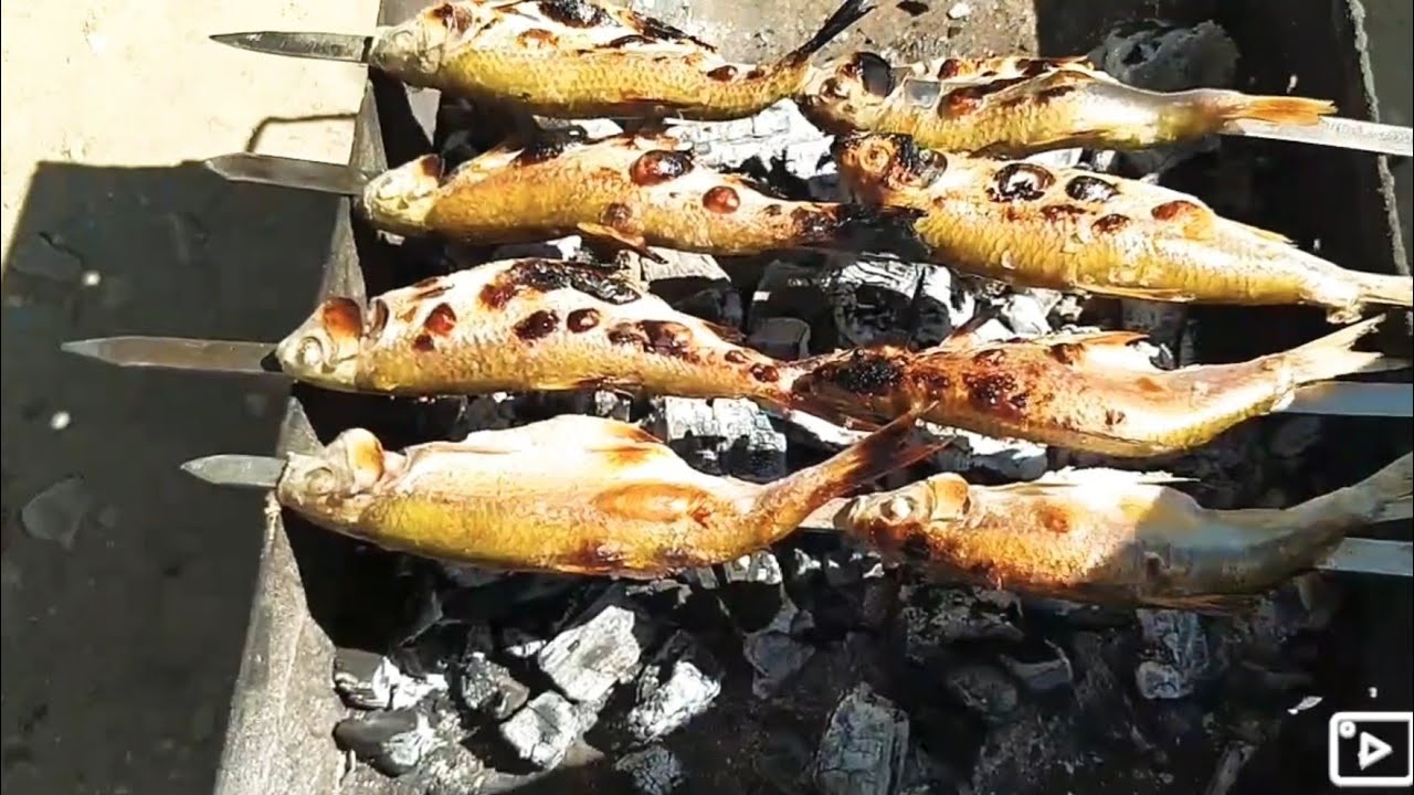 Baliq kebabi MANQALDA BALİQ KABABİ: ( Bobla )