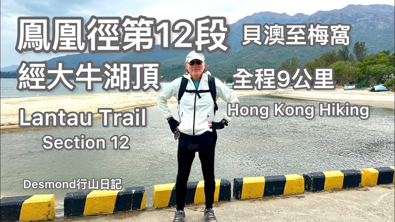 香港行山：2026-02-08 鳯凰徑第12段，貝澳經大牛湖頂山出梅窩，全程9公里。