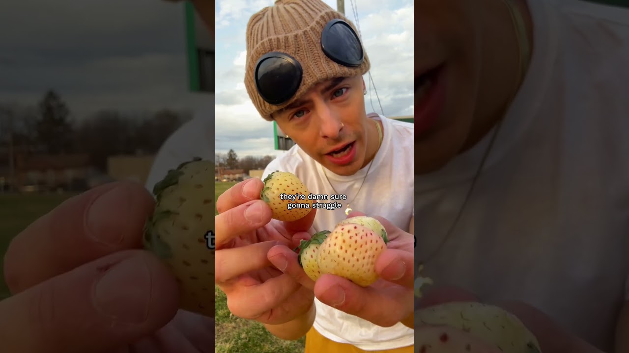 WHITE STRAWBERRY WISDOM