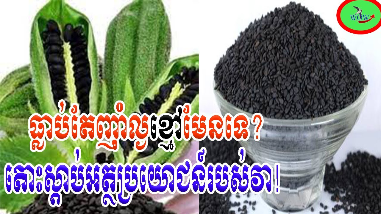 ធ្លាប់តែញាំល្ងខ្មៅមែនទេ!មកស្ដាប់ពីអត្ថប្រយោជន៍របស់វា!/Have you ever eaten black sesame? Come and...
