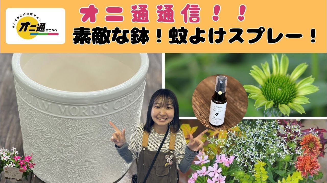 【オニ通通信】これからのマストアイテム蚊よけスプレー・素敵な鉢をご紹介します‼️
