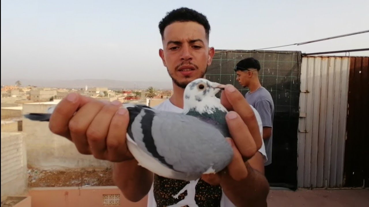 محمد عبدو 🔥LOFT ABDOU بطل مدينة تارودانت وتنسيقية سوس 🏆🥇