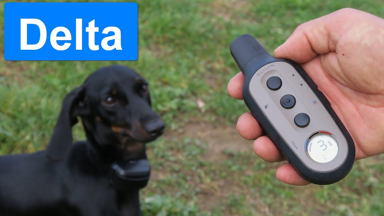 Garmin Delta kutyaoktató eszközök