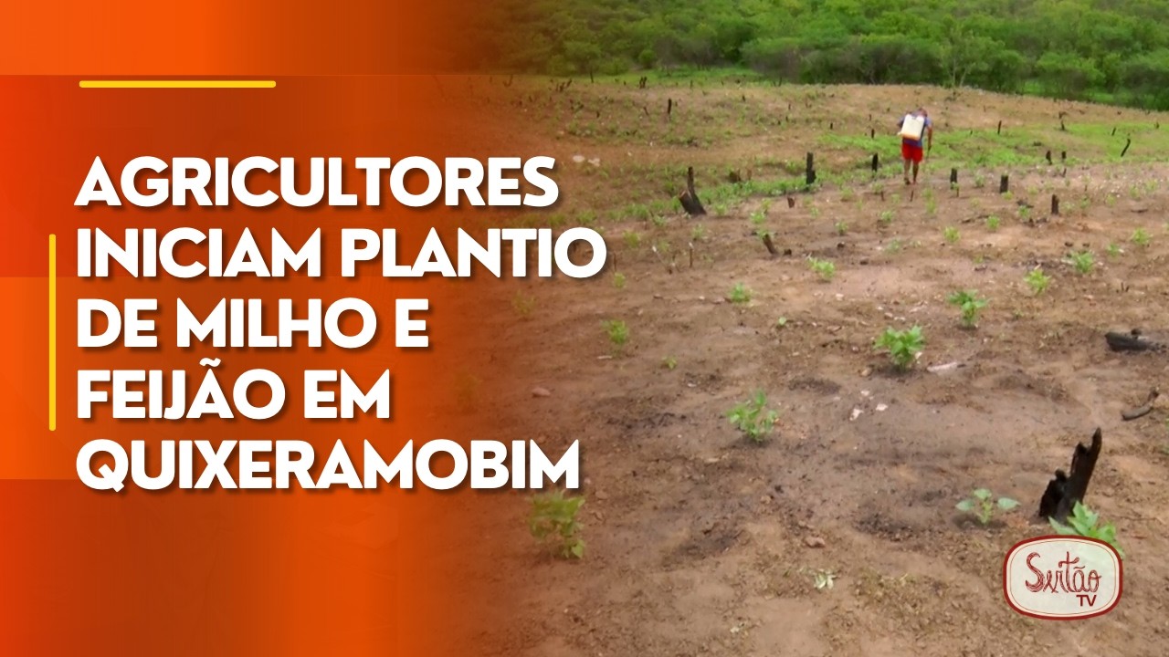 Agricultores iniciam plantio de milho e feijão em Quixeramobim