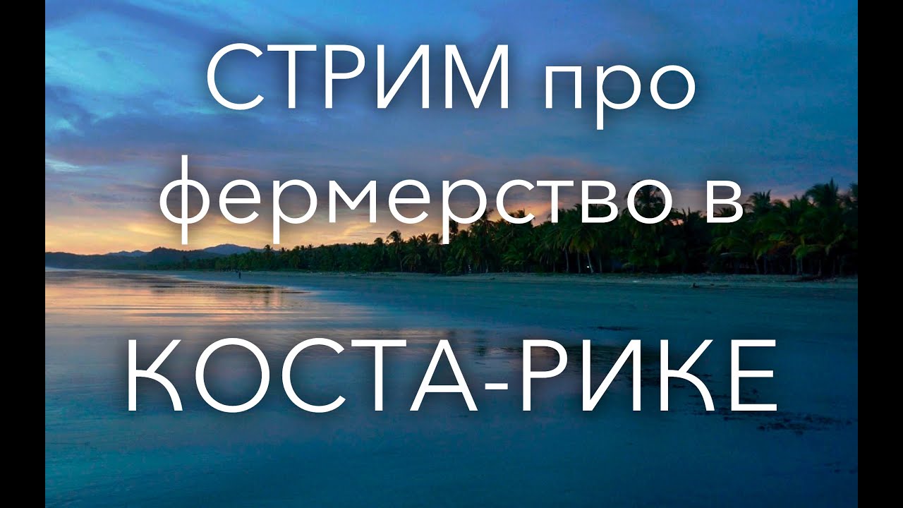 СТРИМ про фермерство в Коста-Рике
