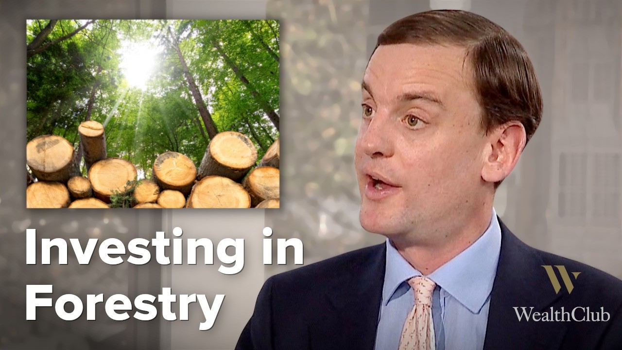 “The ultimate portfolio diversifier” – why invest in forestry in 2025?