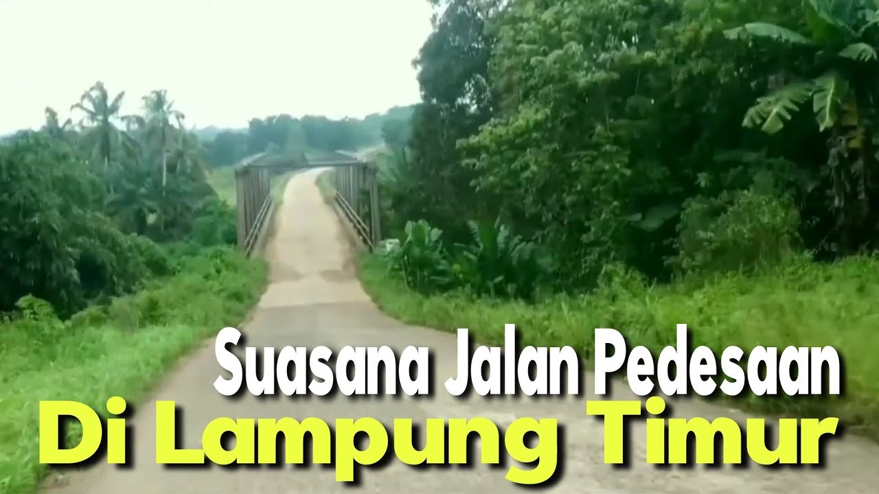 SUASANA JALAN PEDESAAN | DI LAMPUNG TIMUR