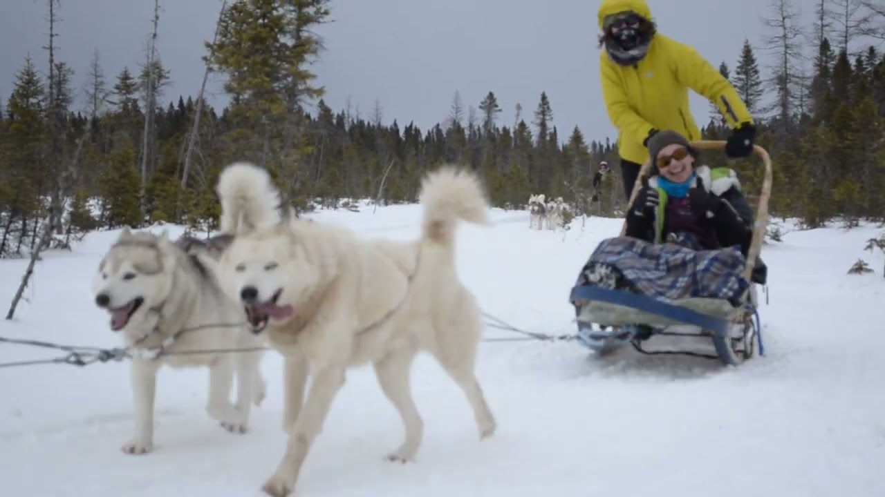 Randonnées en traîneau à chiens au Canada province du Québec