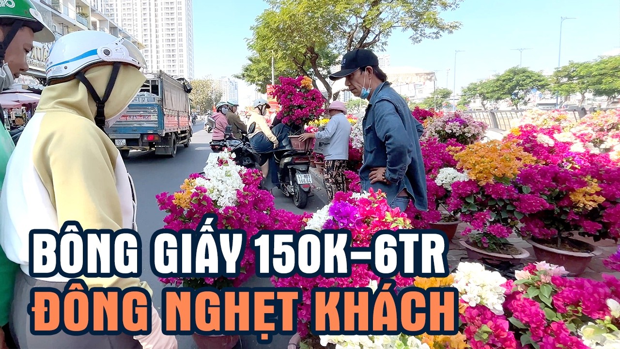 GHE TỚI TẤP CẬP BẾN BÌNH ĐÔNG, bông vừa lên bờ, khách lấy liền tay