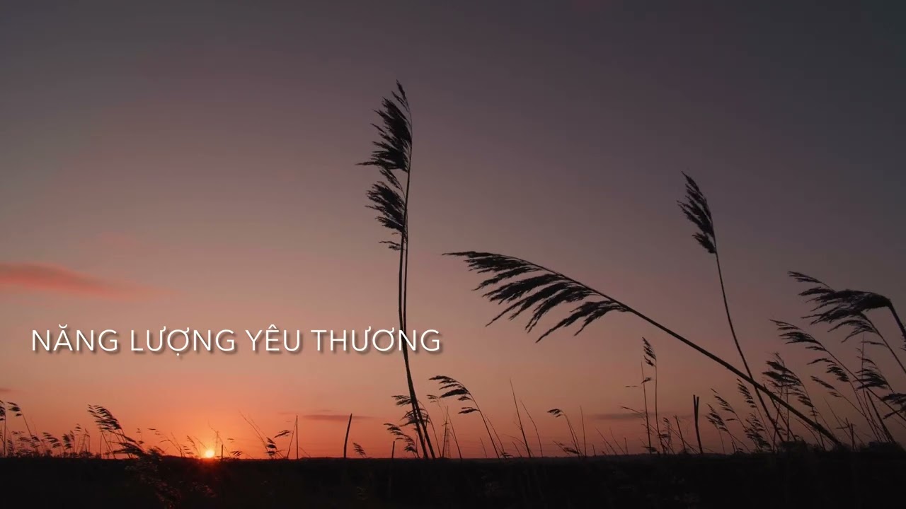 #25 Năng Lượng Yêu Thương | Healing Music