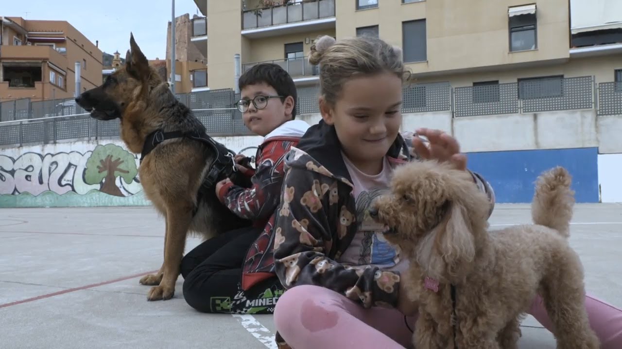🐾 Animalades | Ensenyar i cuidar | EPISODI COMPLET