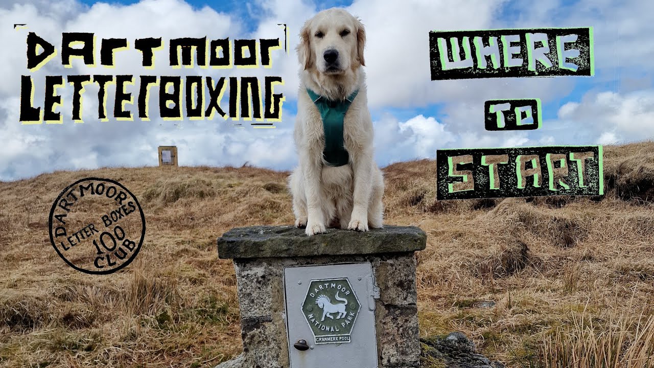 Dartmoor Letterboxing: Where to Start