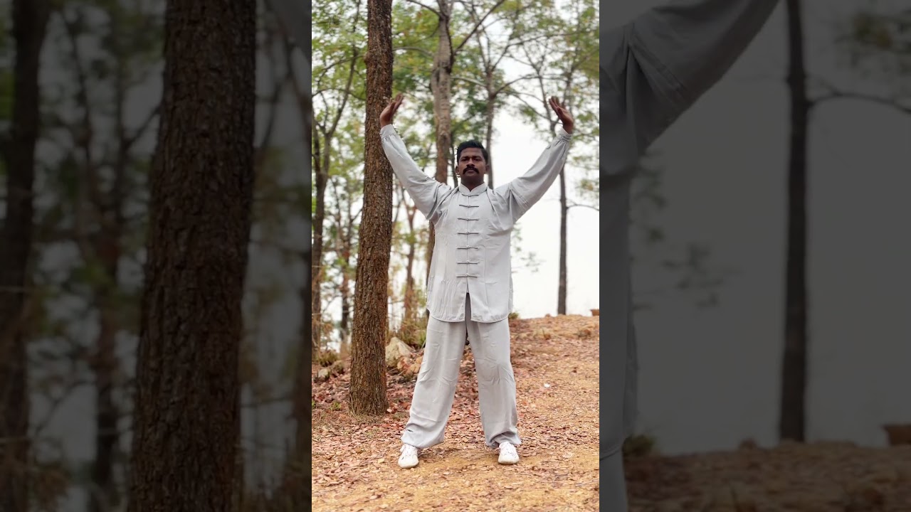 Taichi qi gong 4 #qigongindia #qigongtamilnadu #taichiqigong #taichitamilnadu #taichiindia #shiyandu